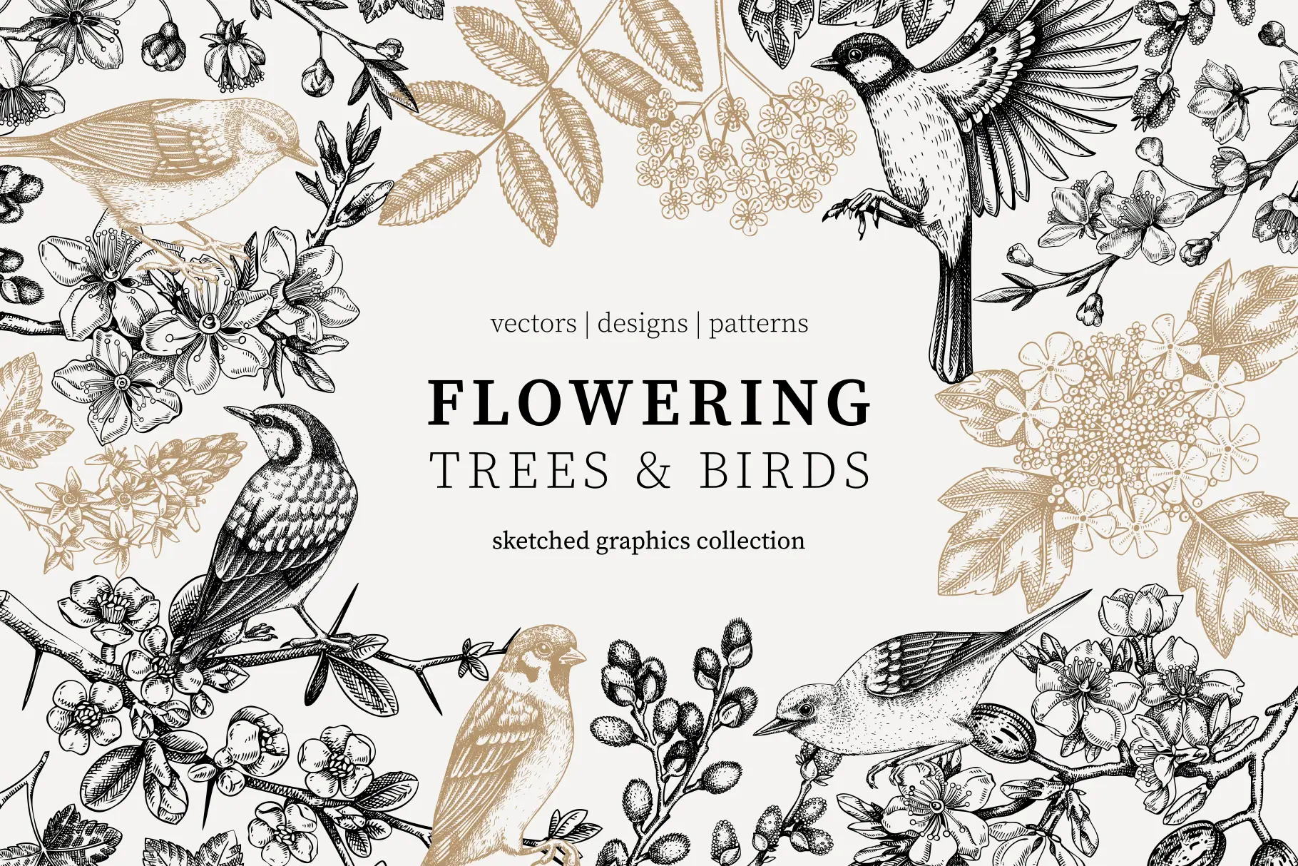 Spring flowers and birds collection. Floral designs. Hand-drawn vector illustrations. Illustration